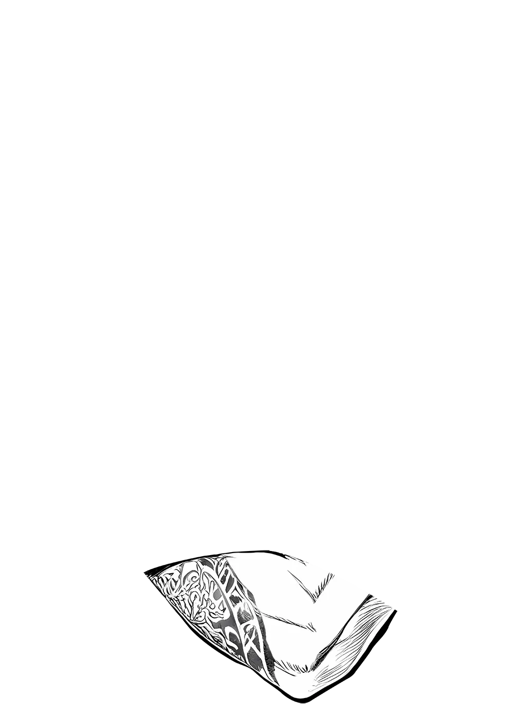 caricatura manga